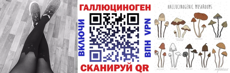 даркнет клад  Ардатов  Псилоцибиновые грибы MAGIC MUSHROOMS  где найти наркотики 